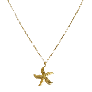 Starfish Necklace