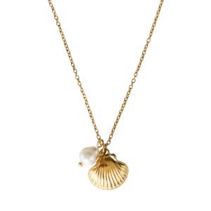 Sea Shell Necklace