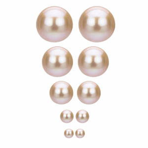 Freshwater Pearl Studs