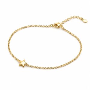 minimalist gold chain bracelet with a star charm with a simple clasp and an adjustable extender chain.