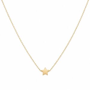 gold chain necklace featuring a single small flat star pendant at the centre.