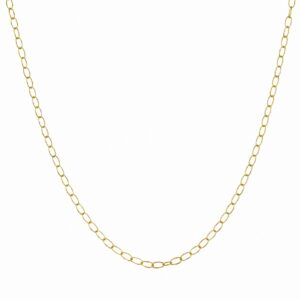 delicate gold chain necklace featuring elongated oval links.